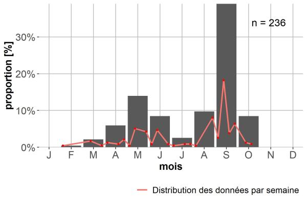 Carabes de Suisse  - Calathus ambiguus ambiguus