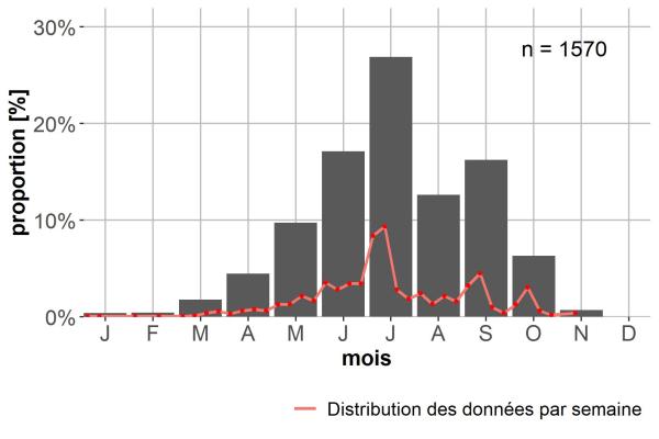 Carabes de Suisse  - Calathus fuscipes fuscipes