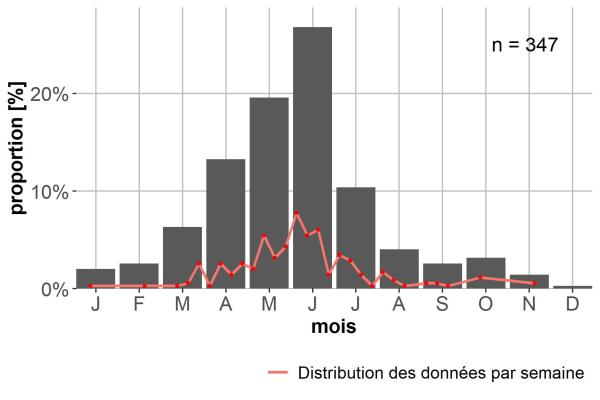 Carabes de Suisse  - Callistus lunatus lunatus