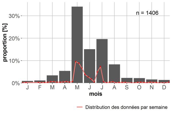 Carabes de Suisse  - Carabus cancellatus 