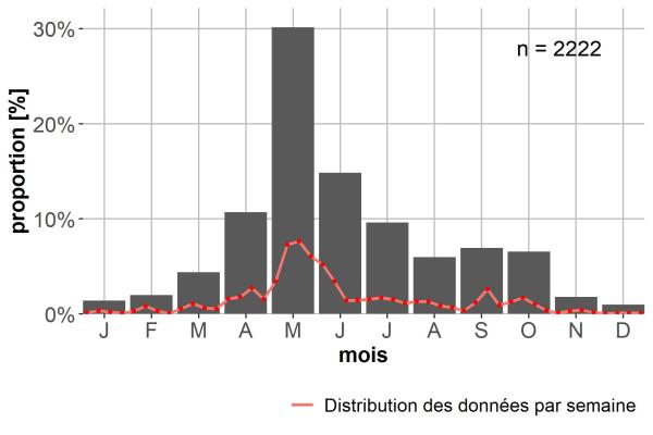 Carabes de Suisse  - Carabus nemoralis nemoralis