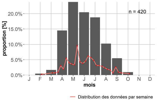 Carabes de Suisse  - Chlaenius tibialis