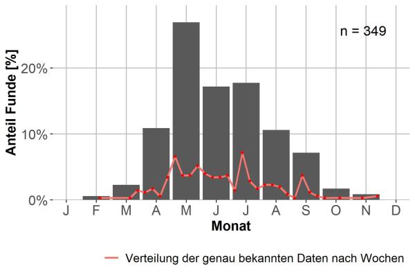   - Chlaenius vestitus