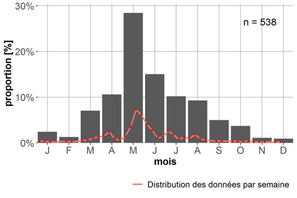 Carabes de Suisse  - Demetrias atricapillus