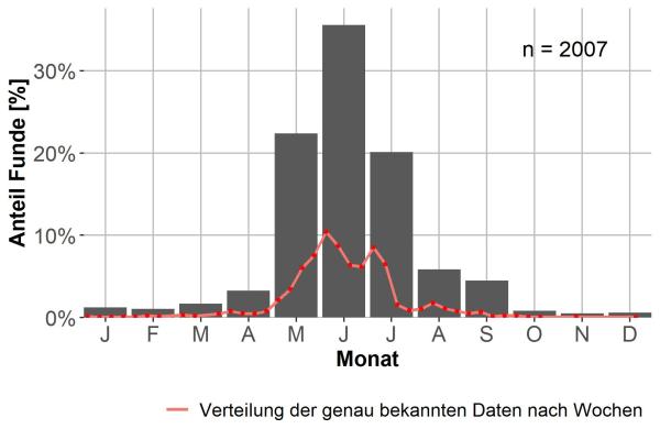   - Diachromus germanus