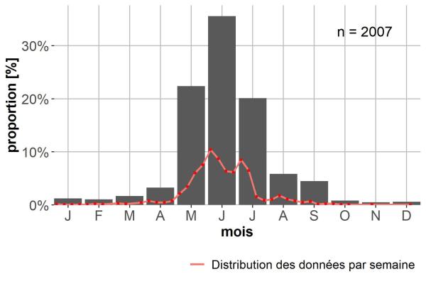 Carabes de Suisse  - Diachromus germanus