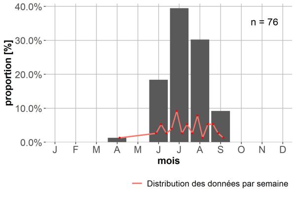 Carabes de Suisse  - Dolichus halensis