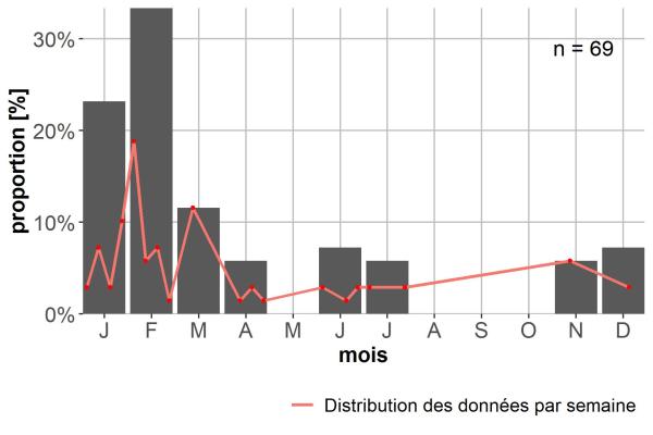 Carabes de Suisse  - Dromius quadraticollis