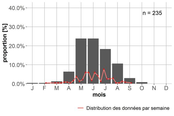 Carabes de Suisse  - Dyschirius aeneus aeneus