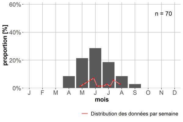 Carabes de Suisse  - Dyschirius agnatus