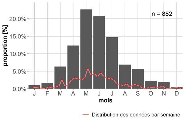 Carabes de Suisse  - Dyschirius globosus