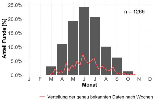   - Harpalus honestus