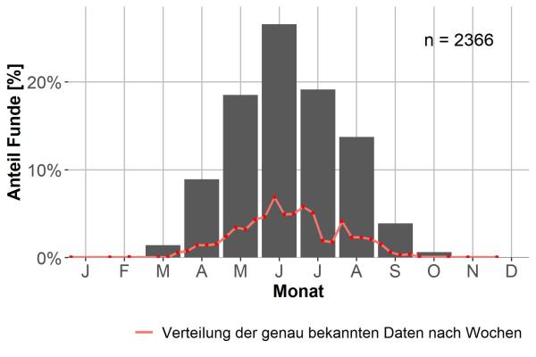   - Harpalus rubripes