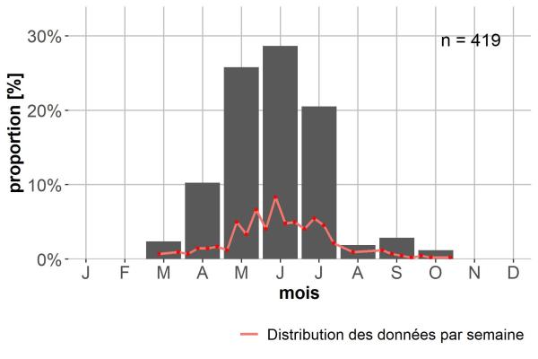 Carabes de Suisse  - Harpalus serripes serripes