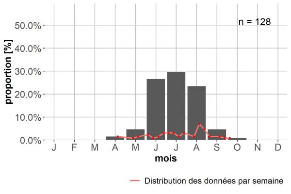Carabes de Suisse  - Laemostenus insubricus