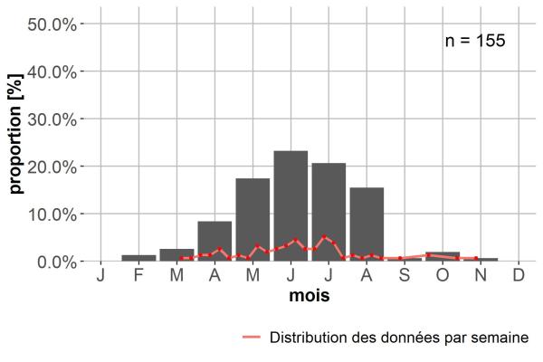 Carabes de Suisse  - Lebia cruxminor cruxminor