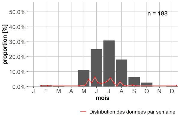 Carabes de Suisse  - Leistus piceus piceus