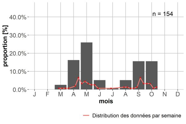 Carabes de Suisse  - Leistus spinibarbis spinibarbis