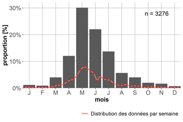 Carabes de Suisse  - Limodromus assimilis