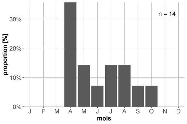 Carabes de Suisse  - Limodromus longiventris