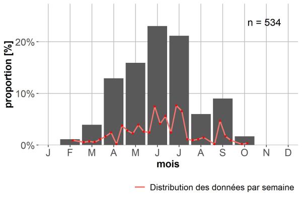Carabes de Suisse  - Lionychus quadrillum