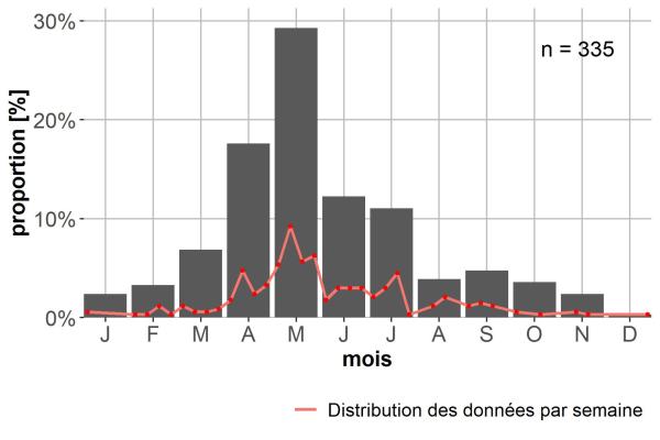 Carabes de Suisse  - Microlestes maurus maurus