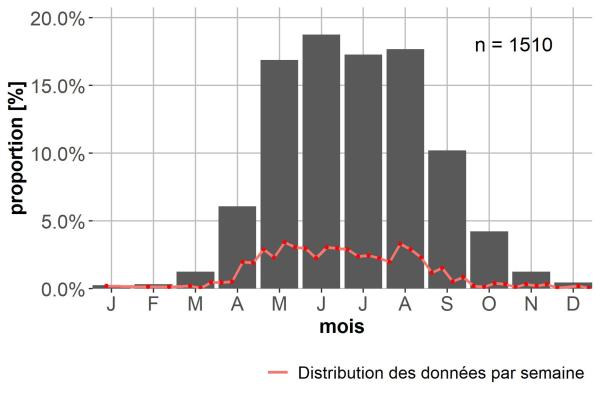 Carabes de Suisse  - Notiophilus biguttatus