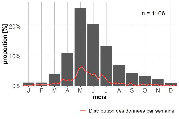 Carabes de Suisse  - Notiophilus palustris