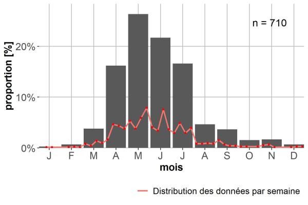Carabes de Suisse  - Oodes helopioides helopioides