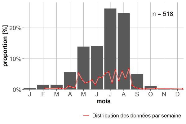 Carabes de Suisse  - Ophonus ardosiacus