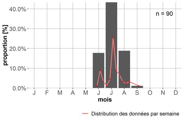 Carabes de Suisse  - Oreonebria angusticollis