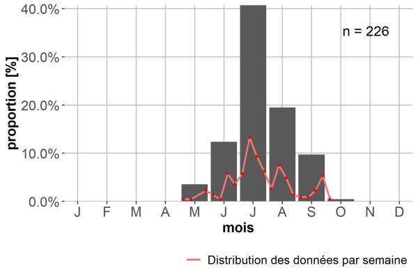Carabes de Suisse  - Oreonebria bremii