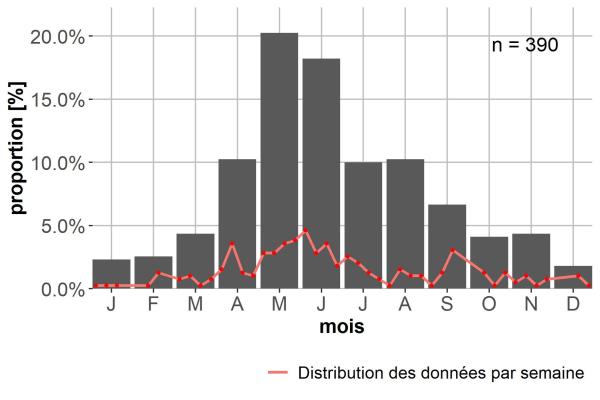 Carabes de Suisse  - Panagaeus cruxmajor
