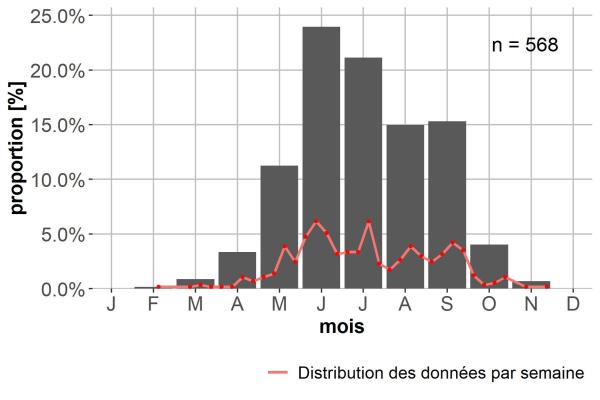 Carabes de Suisse  - Patrobus atrorufus