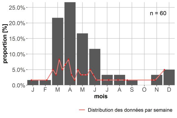 Carabes de Suisse  - Platynus livens
