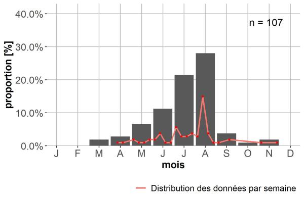 Carabes de Suisse  - Pterostichus honnoratii ludovici