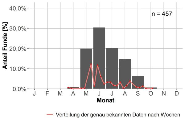   - Pterostichus jurinei