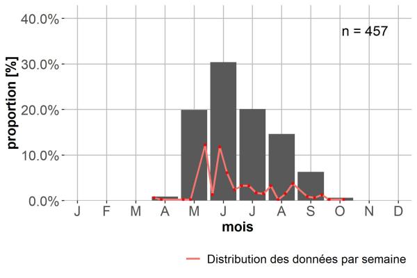 Carabes de Suisse  - Pterostichus jurinei