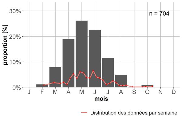 Carabes de Suisse  - Pterostichus selmanni prevostii