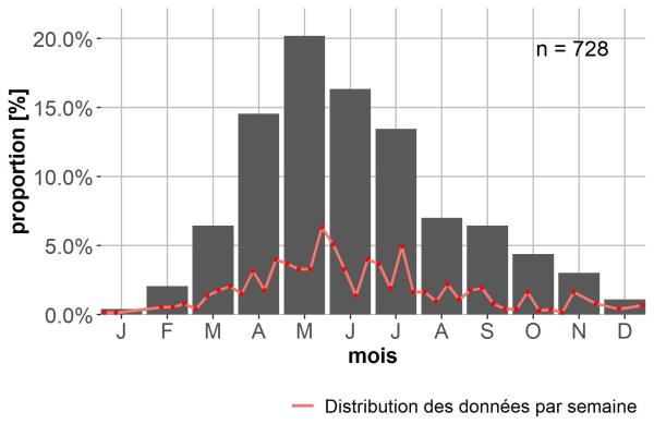 Carabes de Suisse  - Sinechostictus decoratus