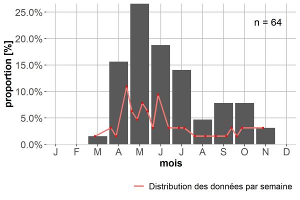 Carabes de Suisse  - Sinechostictus doderoi