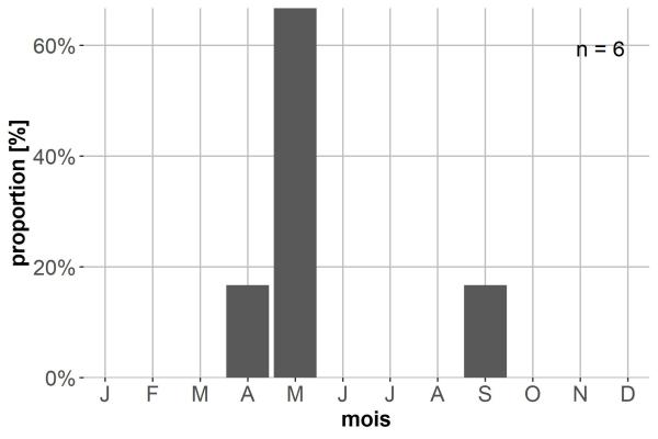Carabes de Suisse  - Sinechostictus effluviorum