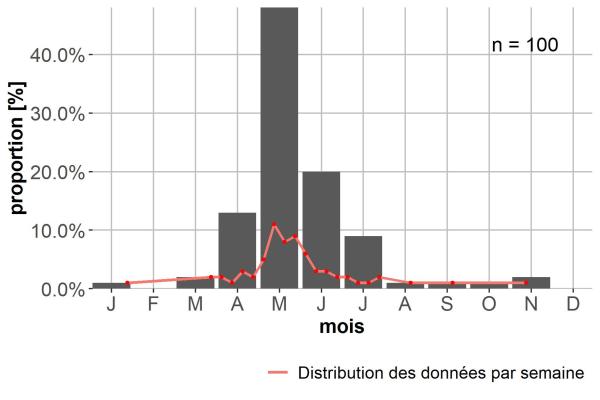 Carabes de Suisse  - Sinechostictus inustus