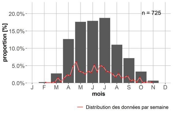 Carabes de Suisse  - Sinechostictus ruficornis
