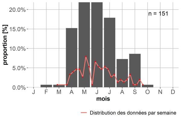 Carabes de Suisse  - Sinechostictus stomoides stomoides