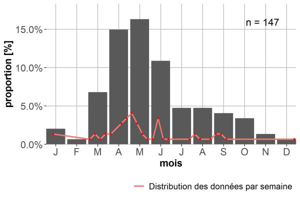 Carabes de Suisse  - Syntomus foveatus
