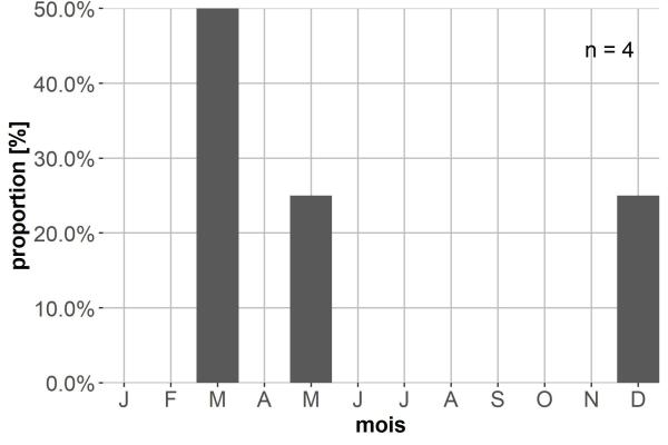 Carabes de Suisse  - Syntomus obscuroguttatus