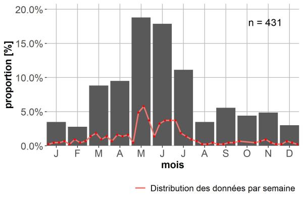 Carabes de Suisse  - Syntomus truncatellus