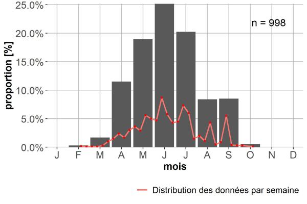 Carabes de Suisse  - Tachyura quadrisignata quadrisignata