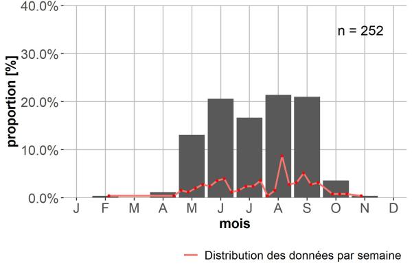Carabes de Suisse  - Trechus secalis secalis